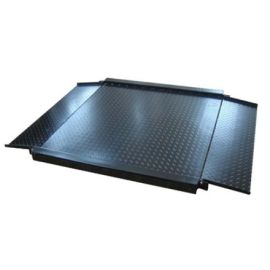 Platform Scales with Remote Display 