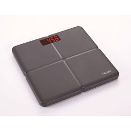 stable electronic body scale