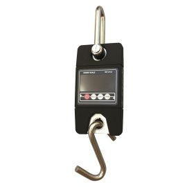 Optional wireless Crane Scales
