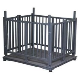  Animal Weighing Solutions ideal for monitoring cattle
