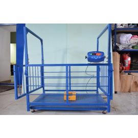 Advanced Livestock Weighing Technology 