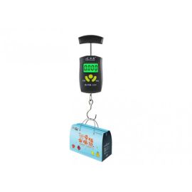 Repair Services of travel scales