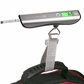Portable Hook Brand luggage Scale