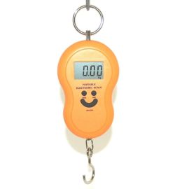 Handheld Test Scale Service