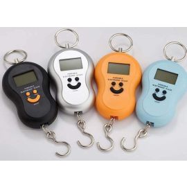 Waterproof travel Scale Resealing Service