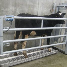  livestock businesses for modern farming operations  