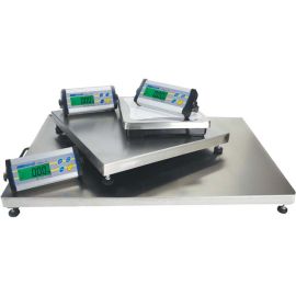 Stainless Steel Platform Weighing Scale – Uganda