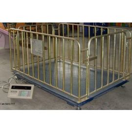 Caged Animal Weighing Scale
