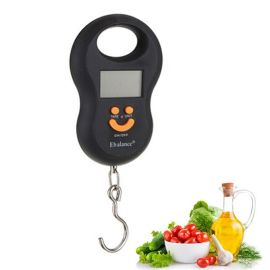 Regular Spring Balance Scale Calibration