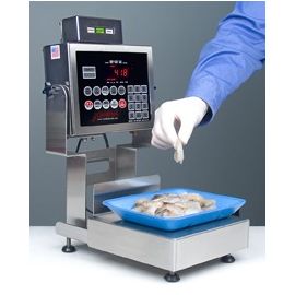 Bench Scale Repair Services in Kampala