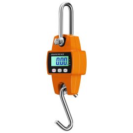 Warehouse Digital Crane Scales