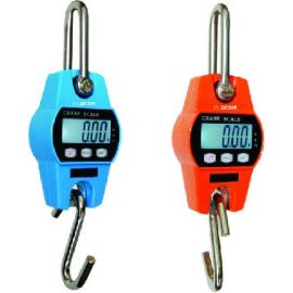 deliver precise crane weight scales