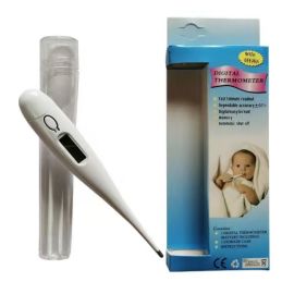 Electronic Thermometer