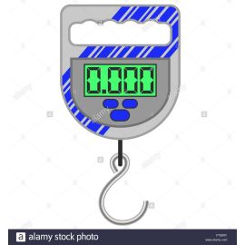 Designed compact fish weighing scale