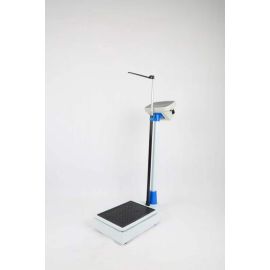 Electronic Scale