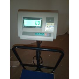digital remote display with ridge weigh software
