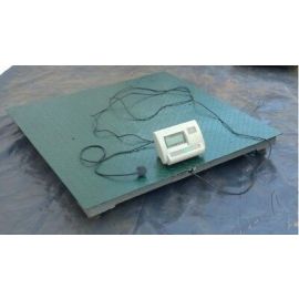 Regular calibration Platform Scale