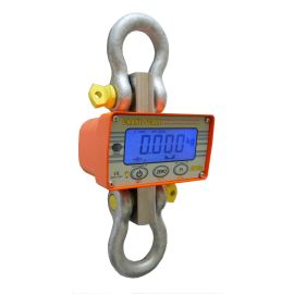 Advanced electronic Crane Scales