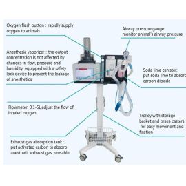 Animal Clinic Anesthesia Machine Integrated Anesthesia Machine with Ventilator