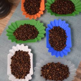 Coffee Bean Laboratory Equipment