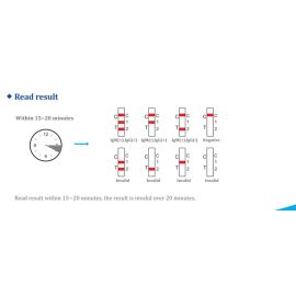 Laboratory High Sensitivity Diagnostic Kit Typhoid G/M Rapid Test Cassette Strip Medical Typhoid IgG/IgM TEST