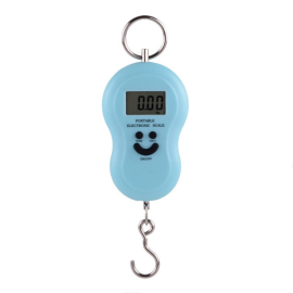 Handheld Test Scale Service