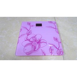 fast personal bathroom scales