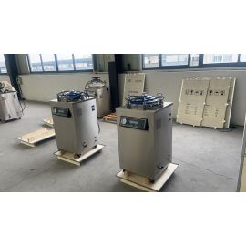 Steam Autoclave 