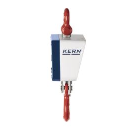 Crane Scale Repair services