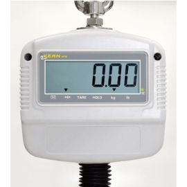 real-time measurement crane scales