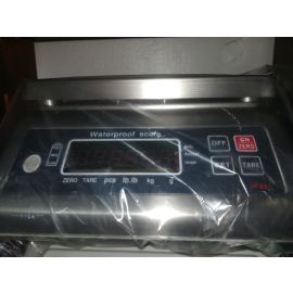 Stainless steel table top scales Kampala