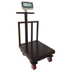 500kg Platform Weighing Scale Uganda