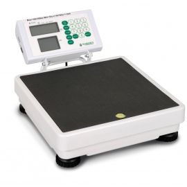 Good floor scales with distribution centers
