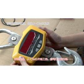 User-friendly crane weight scales