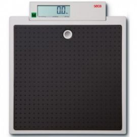 A large weight loss scale