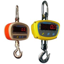 quality assurance crane Scales