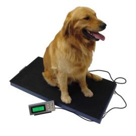 Goat Weighing Platform scales