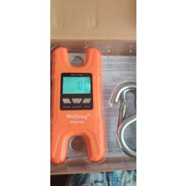 Monitoring Precision Crane Scales