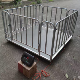 Animal Weighing Scales – Uganda