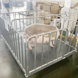  high-precision Cow Weighing Scales
