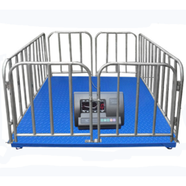 Digital Goat Farm Weighing Solutions Uganda
