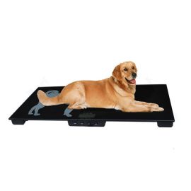 Animal Platform Weighing Machine