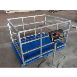 Cattle Scale engineered to provide fast weight measurements 