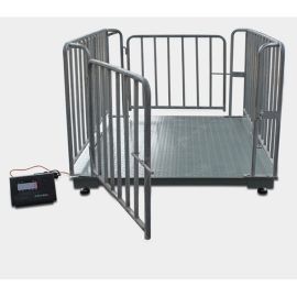 Livestock small-scale designed for weighing cattle