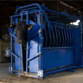 Animal Weighing Machine – Uganda