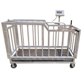Digital Goat Weighing Platforms Uganda