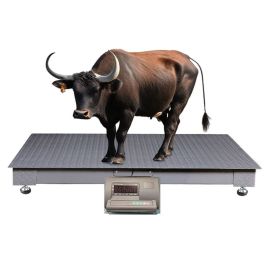 Animal Weighing Equipment