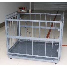  Farm Livestock Scales – Reliable Weighing Solutions for Better Animal Management
