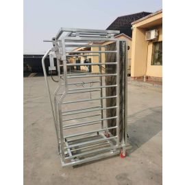 Digital Farm Weighing Scale