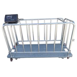  Wide range of Veterinary Scales in Kampala 